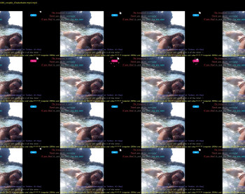 leediseeeex — 4 minute Chaturbate female cam video clip, 1080p, Aug 31, 2021