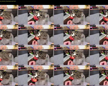ginger_pie — 14 minute Chaturbate female cam video clip, 1080p, Jan 13, 2022