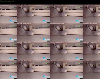 hollyextra — 4 minute Chaturbate female cam video clip, 1080p, Feb 8, 2022