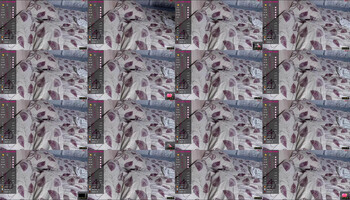 _crazy_cherry_ — 4 minute Chaturbate female cam video clip, 720p, Aug 12, 2022