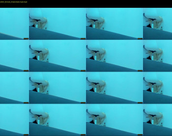 gaby_wayne_ — 6 minute Chaturbate female cam video clip, 1080p, Feb 9, 2023
