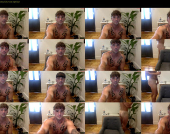 willd6 — 31 minute Chaturbate male cam video clip, 720p, Feb 21, 2024