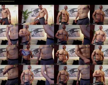eroswolfs — 13 minute Chaturbate male cam video clip, 720p, May 28, 2024