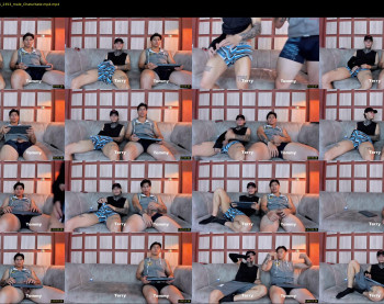 web_gammer_ — 120 minute Chaturbate male cam video clip, 720p, Apr 22, 2025