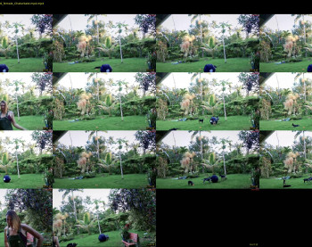 kaileeshy — 19 minute Chaturbate female cam video clip, 720p, Jun 21, 2025