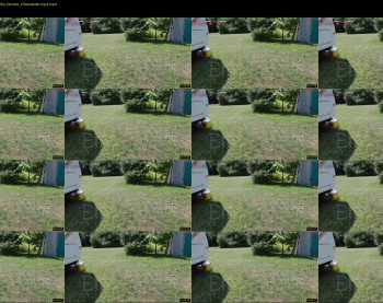 ells_palace — 17 minute Chaturbate female cam video clip, 720p, Jul 6, 2025
