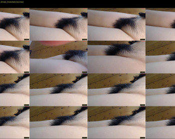 cnsgrbb — 19 minute Chaturbate female cam video clip, 720p, Jul 25, 2025