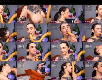 evarabbit — 81 minute Chaturbate female cam video clip, 720p, Feb 8, 2026