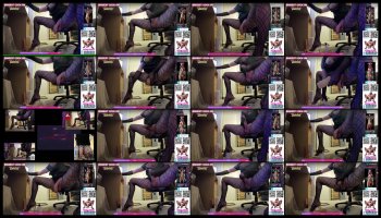 danni_longdong — 81 minute Chaturbate trans cam video clip, 720p, Sep 13, 2026